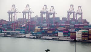 Stock Video Container Port Time Lapse On A Foggy Day Live Wallpaper For PC