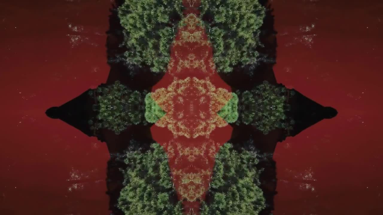 Download Stock Video Conceptual Nature Shot Live Wallpaper For PC