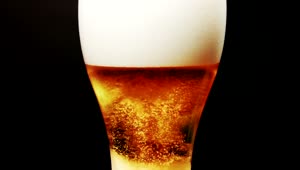 Stock Video Cold Beer In A Tall Glass Live Wallpaper For PC