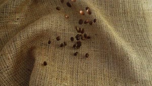 Stock Video Coffee Beans Filling A Sack Top View Live Wallpaper For PC