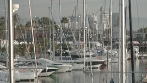 Stock Video Coast Covered By Masts Boats And Small Yachts Live Wallpaper For PC