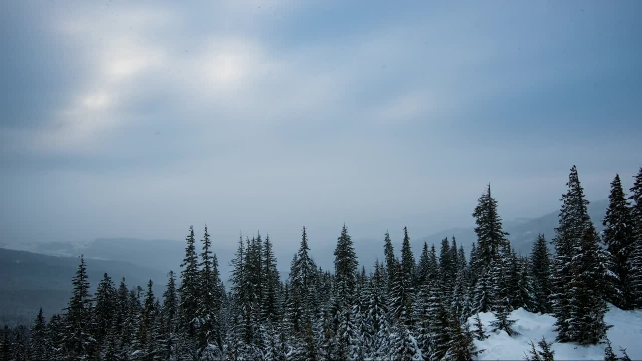 Download Stock Video Cloudy Sky In A Winter Forest Live Wallpaper For PC