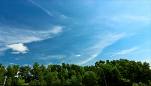 Stock Video Clouds Over The Tops Of Trees Live Wallpaper For PC