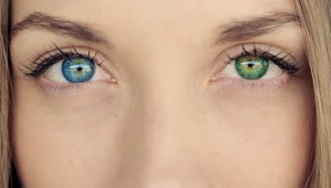Stock Video Eyes Of A Woman Of Different Colors Heterochromia Live Wallpaper For PC