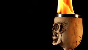 Stock Video Evil Skull Shaped Bone Cup With Fire Live Wallpaper For PC