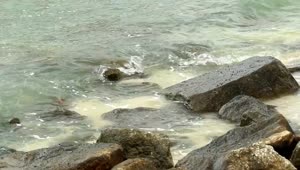 Stock Video Eroded Rocks By The Ocean Live Wallpaper For PC