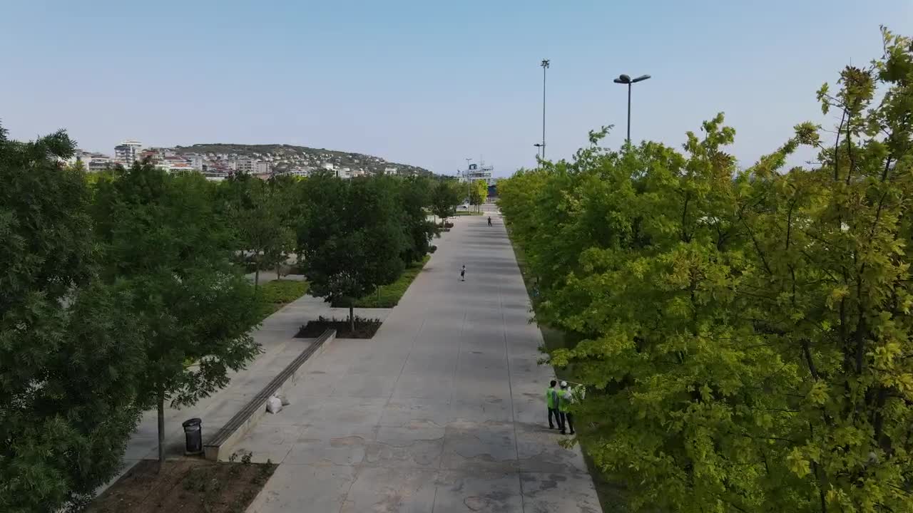 Download Stock Video Empty Path In A Park During A Sunny Day Live Wallpaper For PC