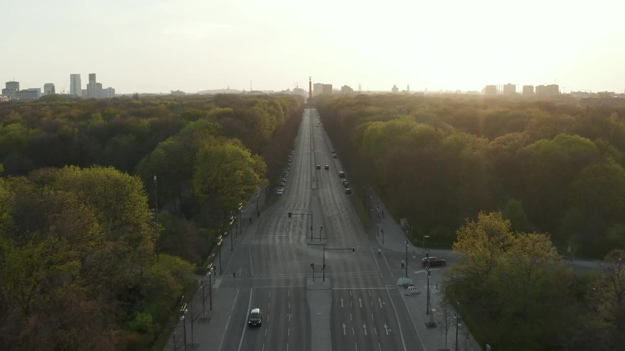 Download Stock Video Empty Avenue Surrounded By Trees Live Wallpaper For PC