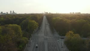 Stock Video Empty Avenue Surrounded By Trees Live Wallpaper For PC