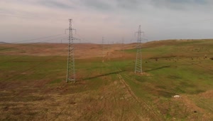 Stock Video Electricity Cable Towers In The Fields Live Wallpaper For PC