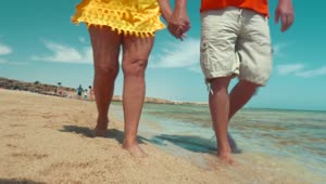 Stock Video Elderly Couple Enjoying A Vacation Live Wallpaper For PC