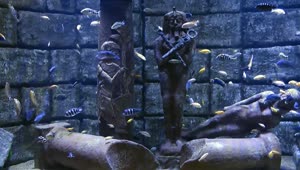 Stock Video Egyptian Statues Underwater Surrounded By Fish Live Wallpaper For PC