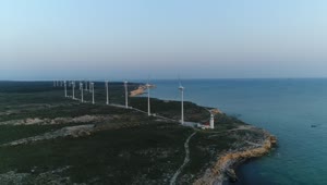 Stock Video Early Morning By A Wind Farm Live Wallpaper For PC