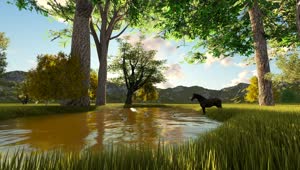 Stock Video Ducks And A Horse On A Lake In The Forest Live Wallpaper For PC