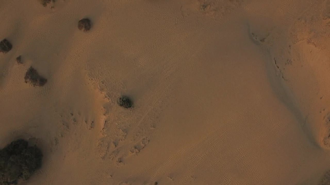 Download Stock Video Dry Coastline And Plants Live Wallpaper For PC