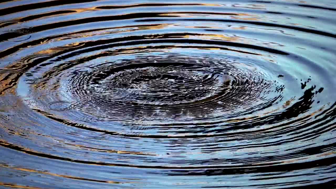 Download Stock Video Drops Of Water In The Pond Live Wallpaper For PC