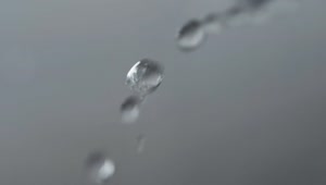 Stock Video Drops Of Water Falling Extreme Close Up Live Wallpaper For PC