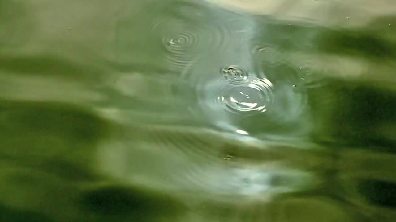 Download Stock Video Drops Across A Shallow Lake Live Wallpaper For PC