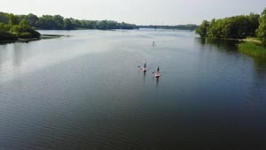 Stock Video Drone View Of Paddle Boarders On River Live Wallpaper For PC