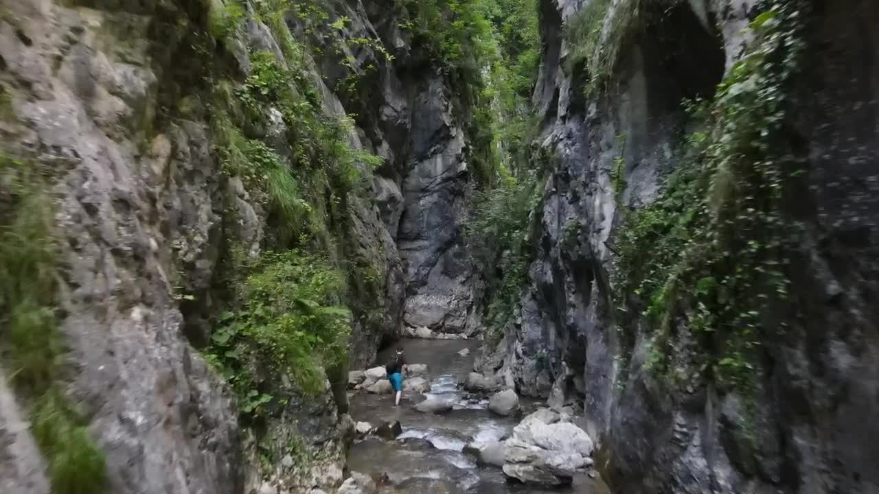 Download Stock Video Drone Ride By A River In A Jungle Live Wallpaper For PC