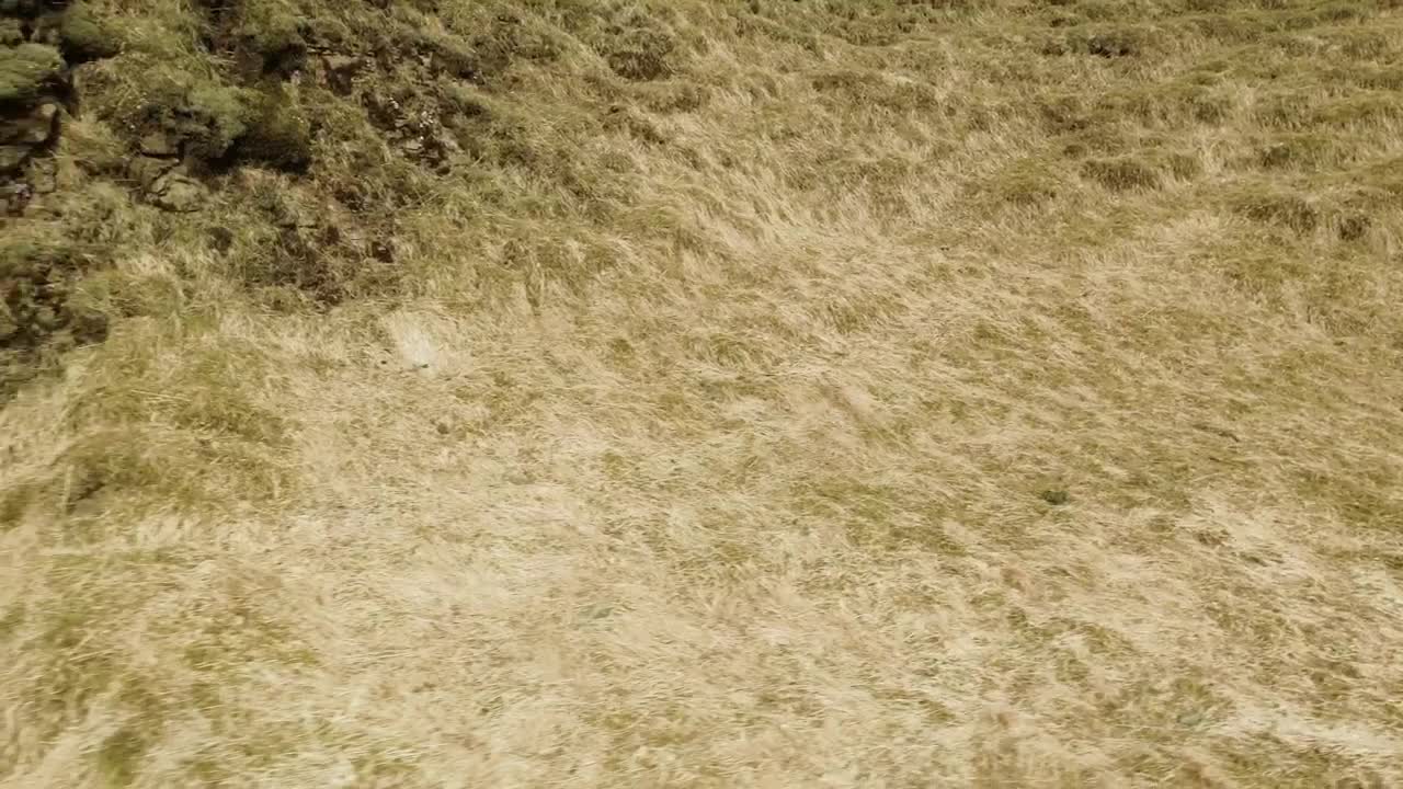 Download Stock Video Drone Flying Over A Stream Live Wallpaper For PC