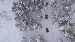 Stock Video Driving Through A Snowy Forest Live Wallpaper For PC