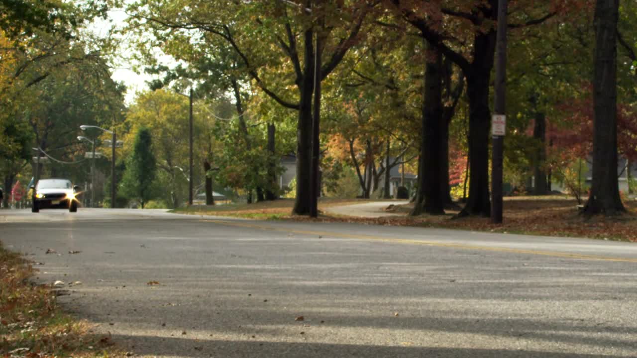 Download Stock Video Driving In The Autumn Live Wallpaper For PC