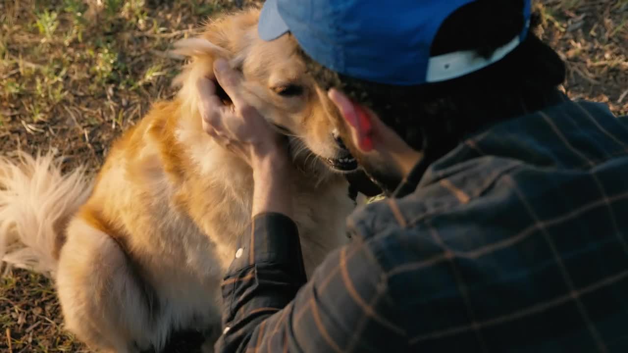 Download Stock Video Dog Being Petted Live Wallpaper For PC