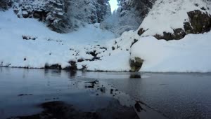 Stock Video Diving In A Winter Forest Lake Live Wallpaper For PC