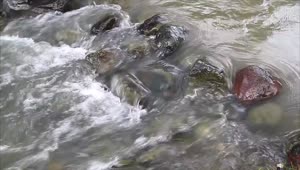 Stock Video Dirty Stream Flowing Over Pebbles Live Wallpaper For PC