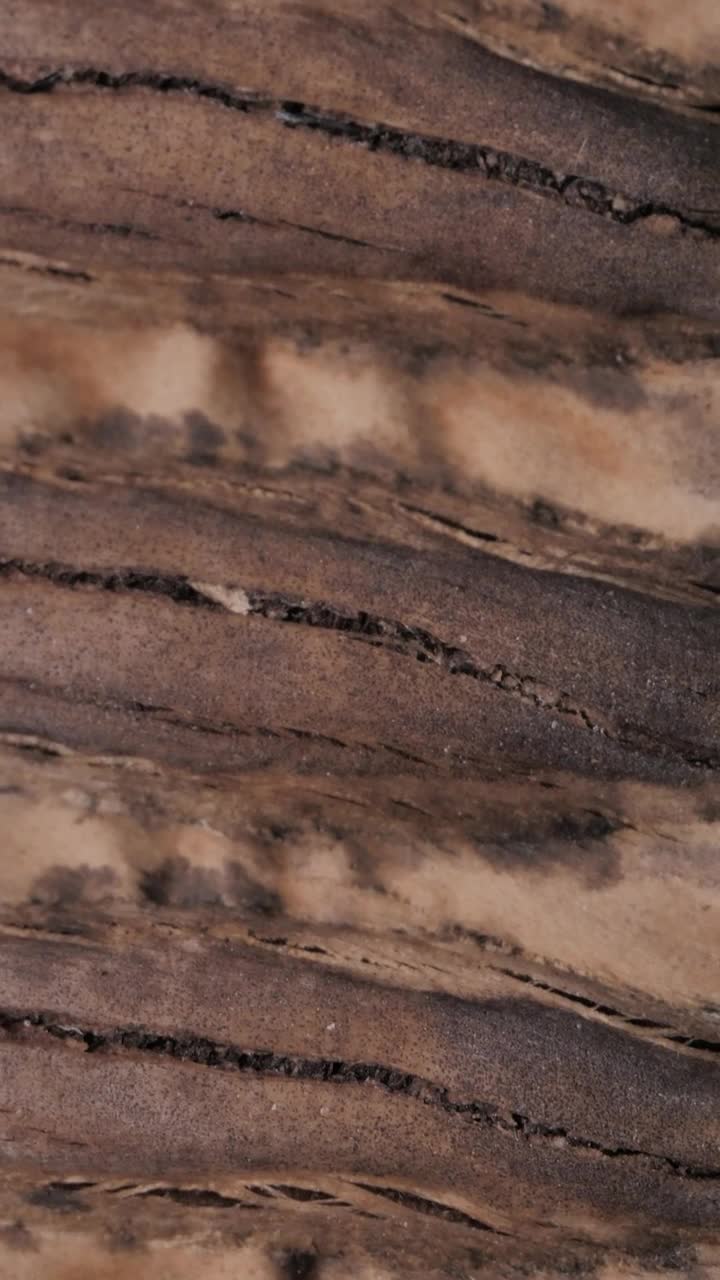 Download Stock Video Detail View Of The Texture Of A Wooden Board Live Wallpaper For PC