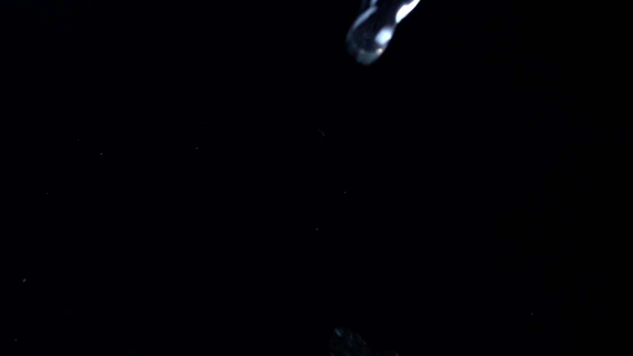 Download Stock Video Fresh Vegetables Falling Into Water Live Wallpaper For PC