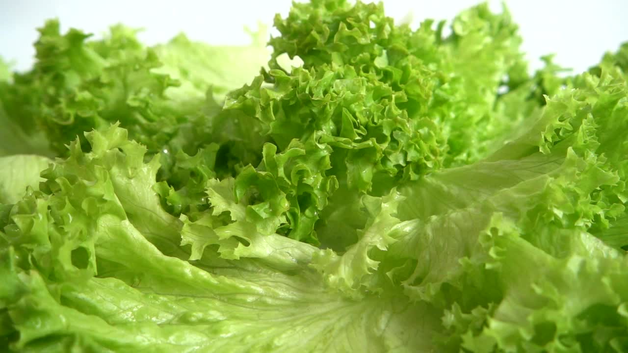 Download Stock Video Fresh Ingredients For Salad In Detail Live Wallpaper For PC