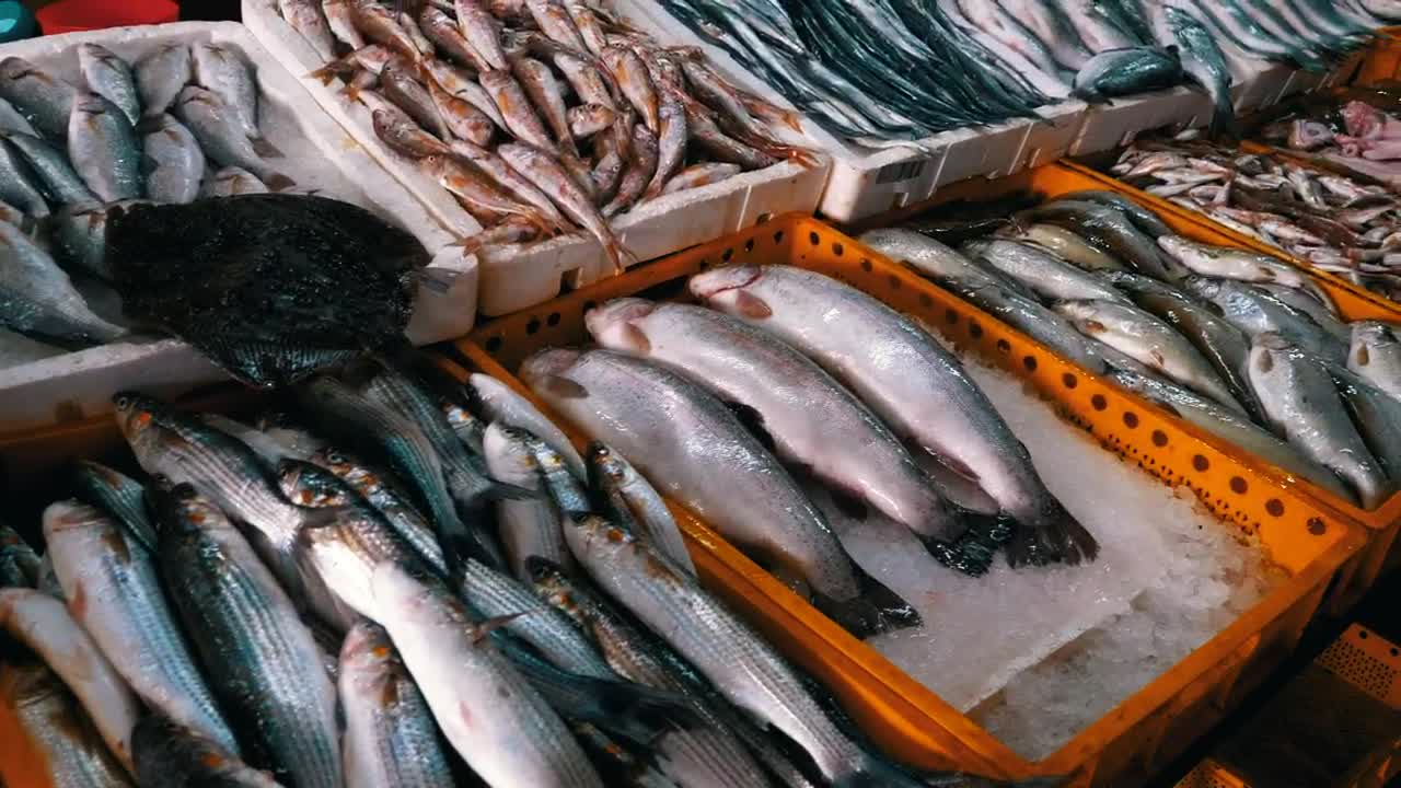 Download Stock Video Fresh Fish On Ice Trays Live Wallpaper For PC