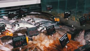 Stock Video Fresh Fish In The Counter Ready For Sale Live Wallpaper For PC