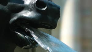 Stock Video Fountain In The Shape Of An Animal Sculpture Close Up Live Wallpaper For PC