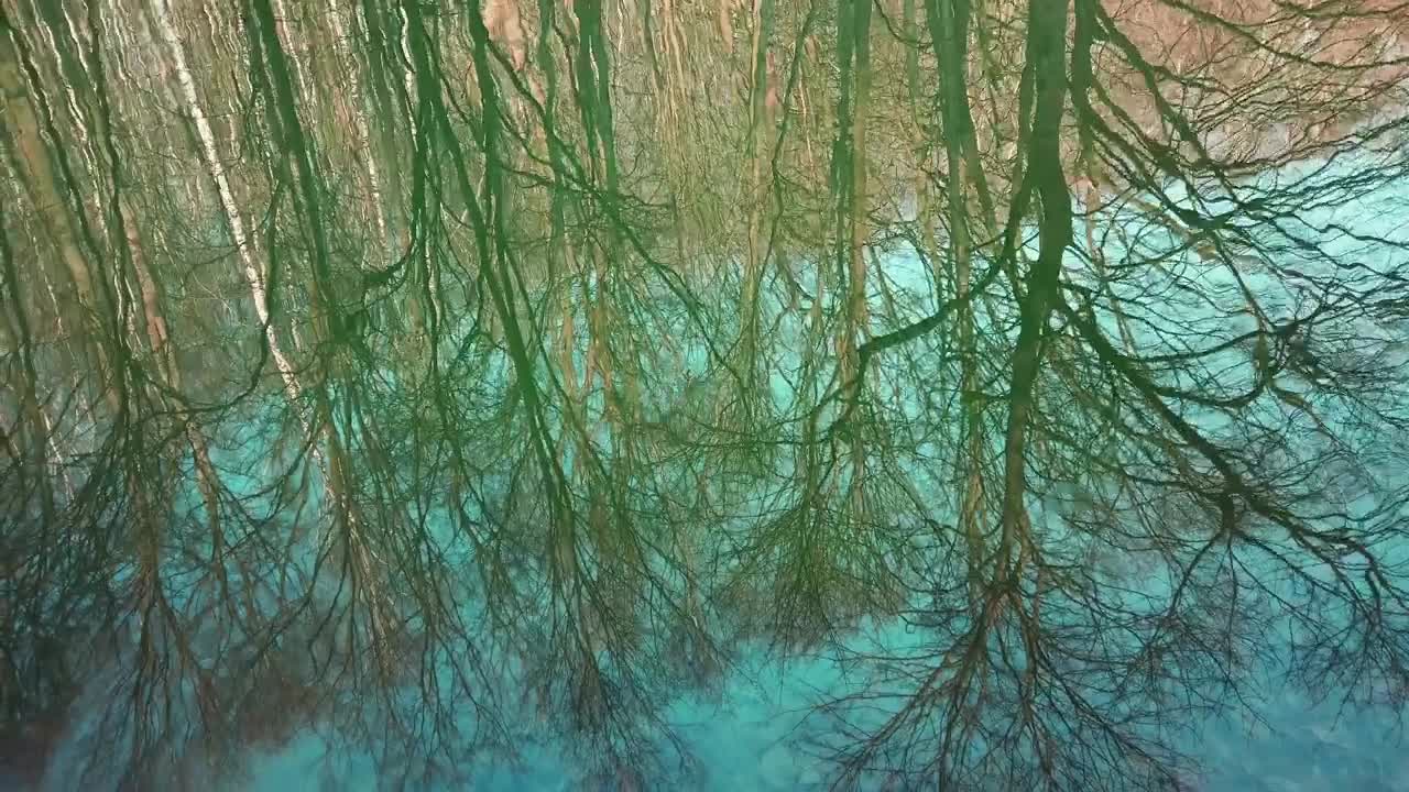 Download Stock Video Forest Reflecting On A Lake Live Wallpaper For PC