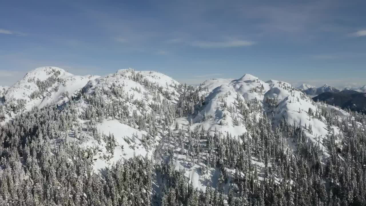 Download Stock Video Forest On A Mountain In Winter Live Wallpaper For PC