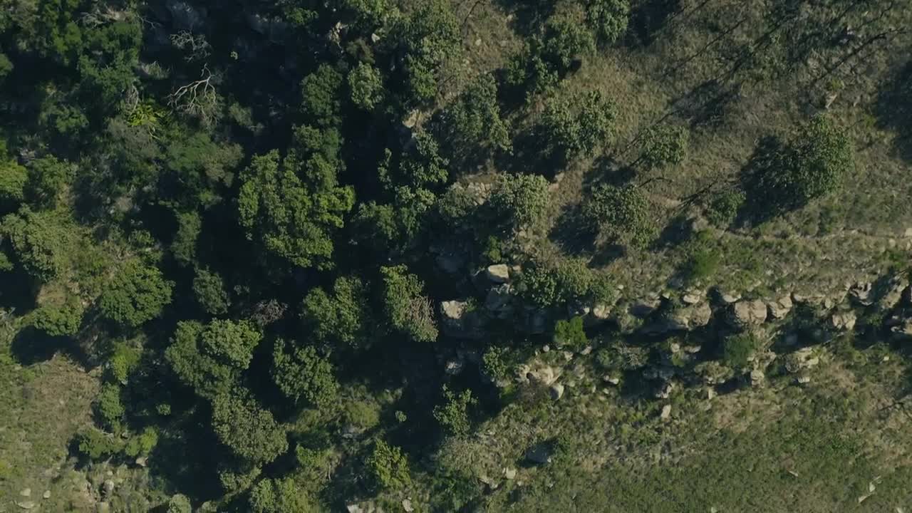 Download Stock Video Forest Near A Train Railway Top Shot Live Wallpaper For PC