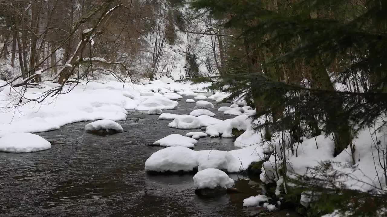 Download Stock Video Forest In Winter With A River Live Wallpaper For PC