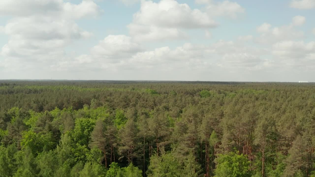 Download Stock Video Forest In Spring Full Of Trees High Aerial View Live Wallpaper For PC