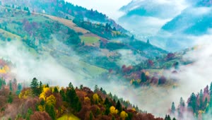 Stock Video Fog Moving Between The Mountains And The Forest Live Wallpaper For PC
