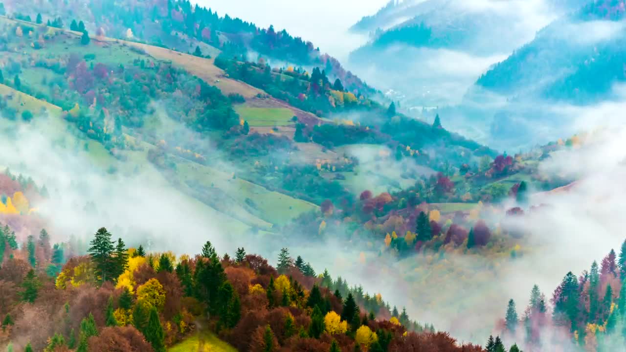 Download Stock Video Fog Moving Between The Mountains And The Forest Live Wallpaper For PC