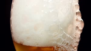 Stock Video Foam Dripping Down A Beer Glass Live Wallpaper For PC