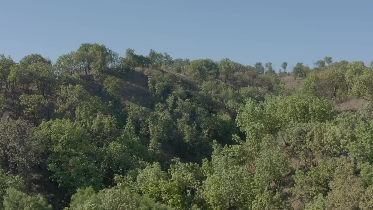 Download Stock Video Flying Through A Landscape Covered With Hills And Trees Live Wallpaper For PC