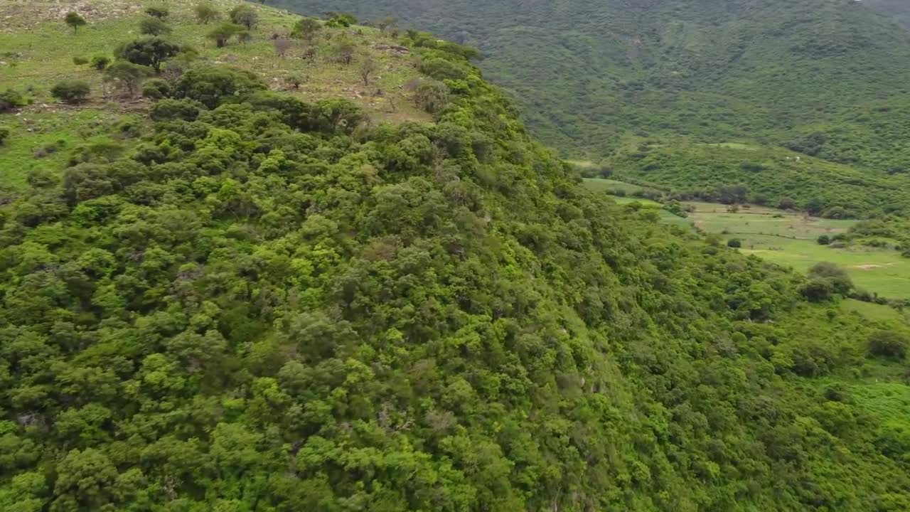 Download Stock Video Flying Over Tree Covered Hills Live Wallpaper For PC