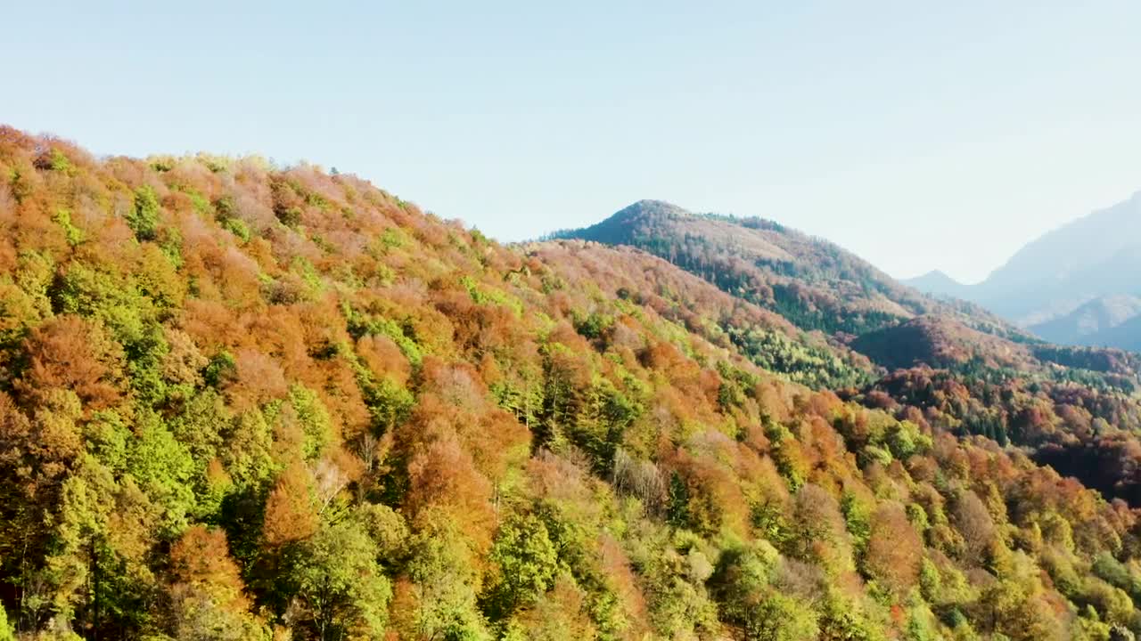 Download Stock Video Flying Over Hills Covered In Autumn Trees Live Wallpaper For PC