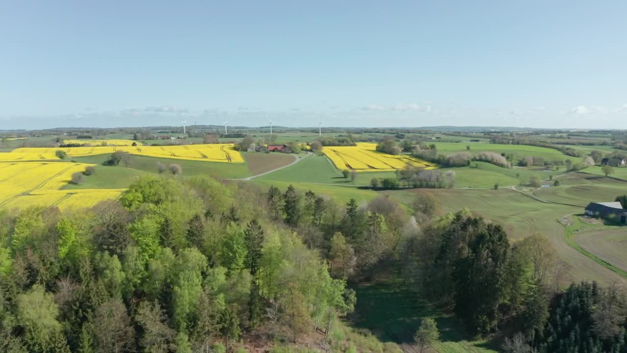 Download Stock Video Flying Over Forest Fields Live Wallpaper For PC