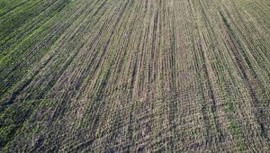 Stock Video Flying Over An Agriculture Field Texture Video Live Wallpaper For PC