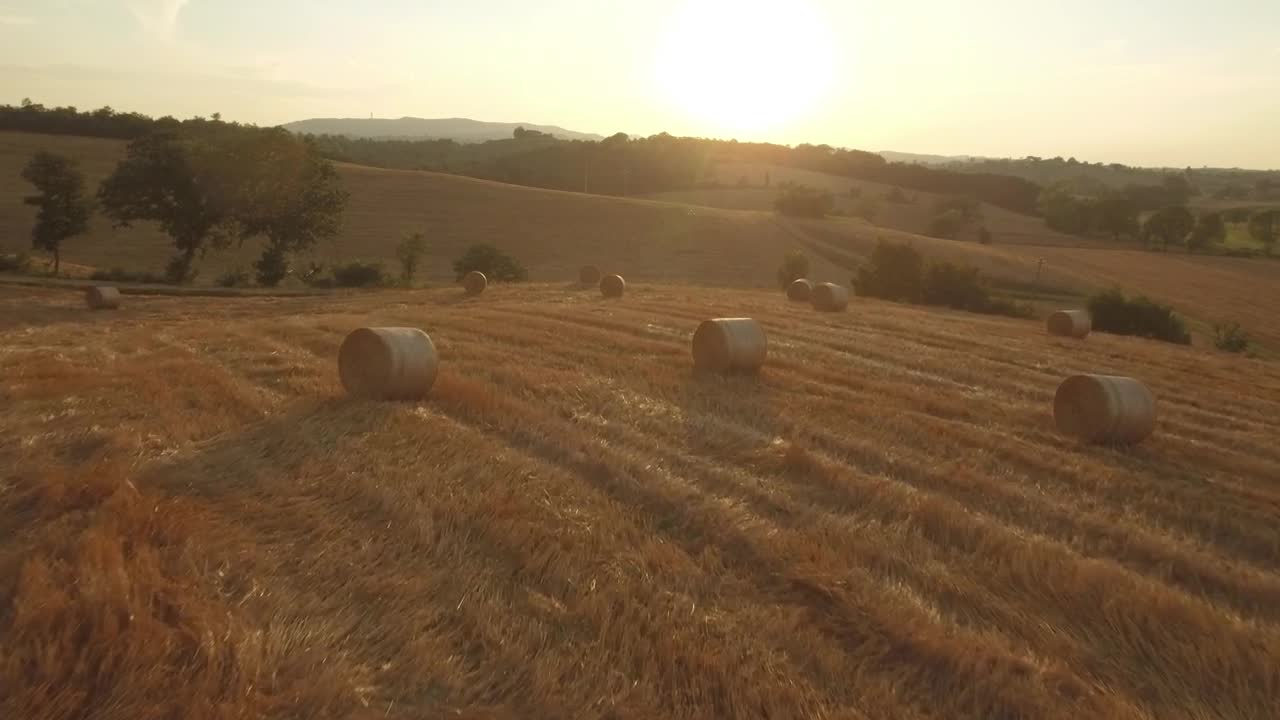 Download Stock Video Flying Over Agricultural Fields Live Wallpaper For PC